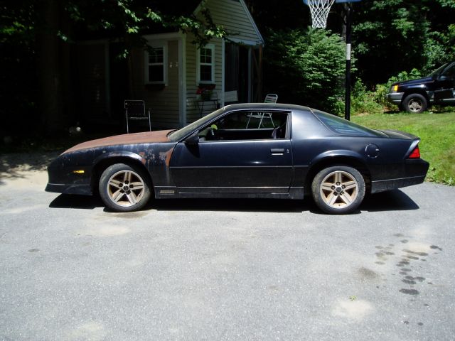 85zday1-1.jpg
