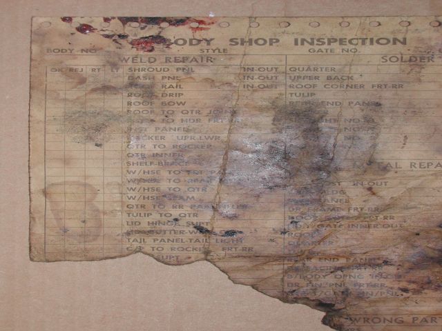 ms06.jpg